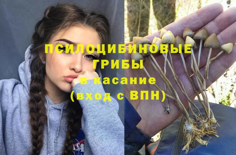 Галлюциногенные грибы Cubensis Рошаль