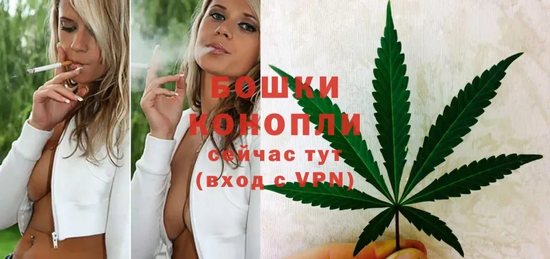 Каннабис SATIVA & INDICA  кракен ONION  Рошаль  где найти наркотики 